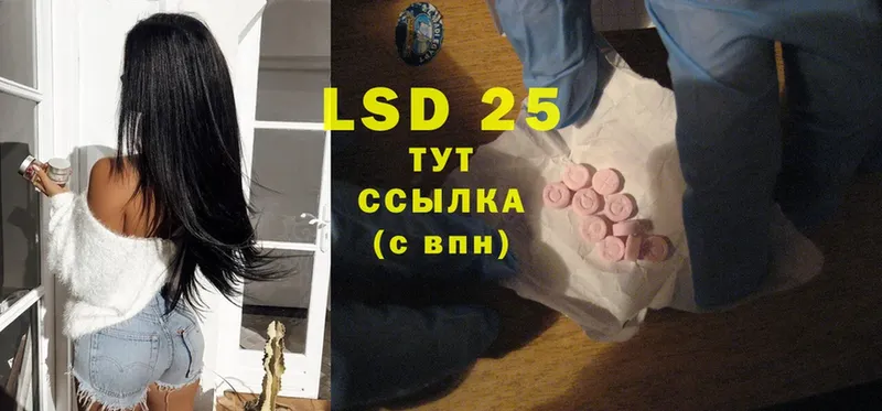 Лсд 25 экстази ecstasy  цены   Каменногорск 